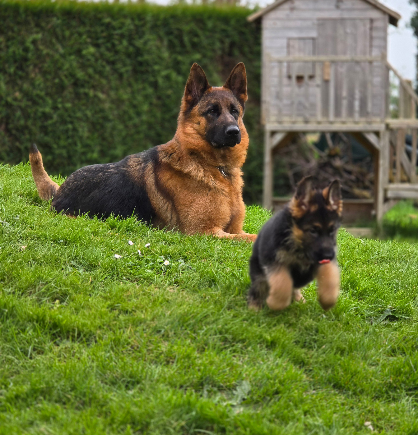 Themis Domaine de Jules