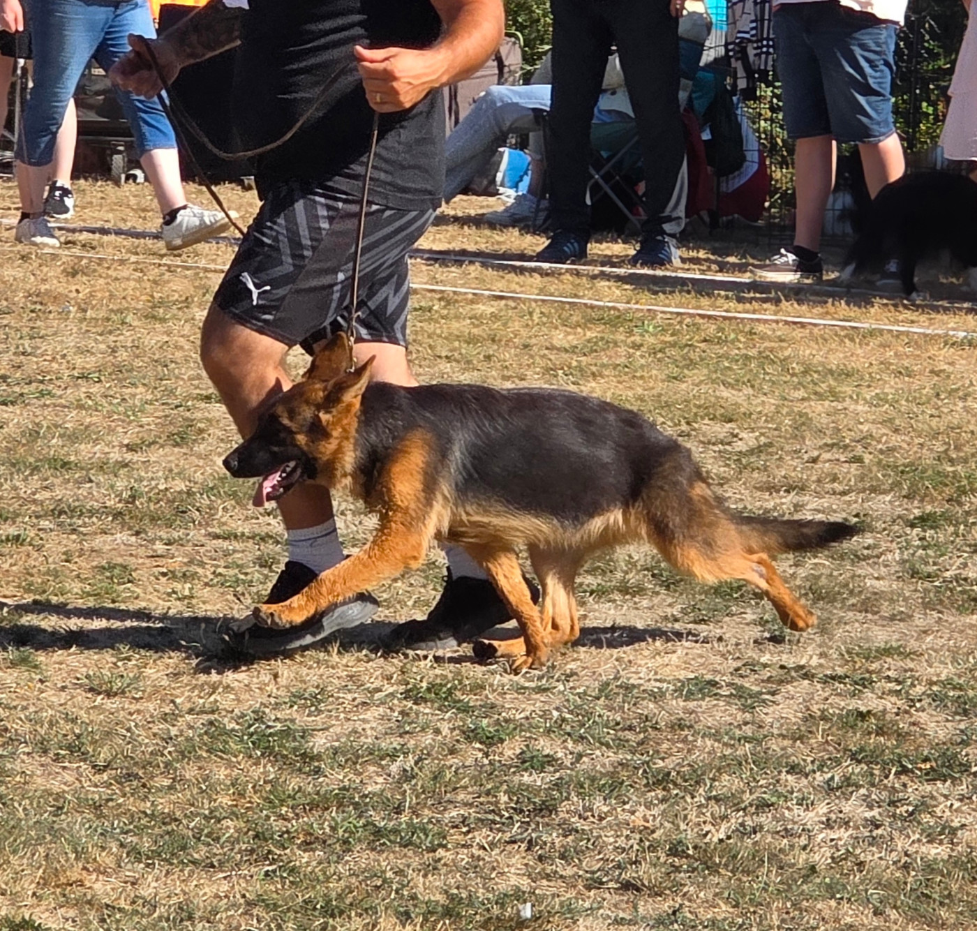 Valentine Domaine de Jules