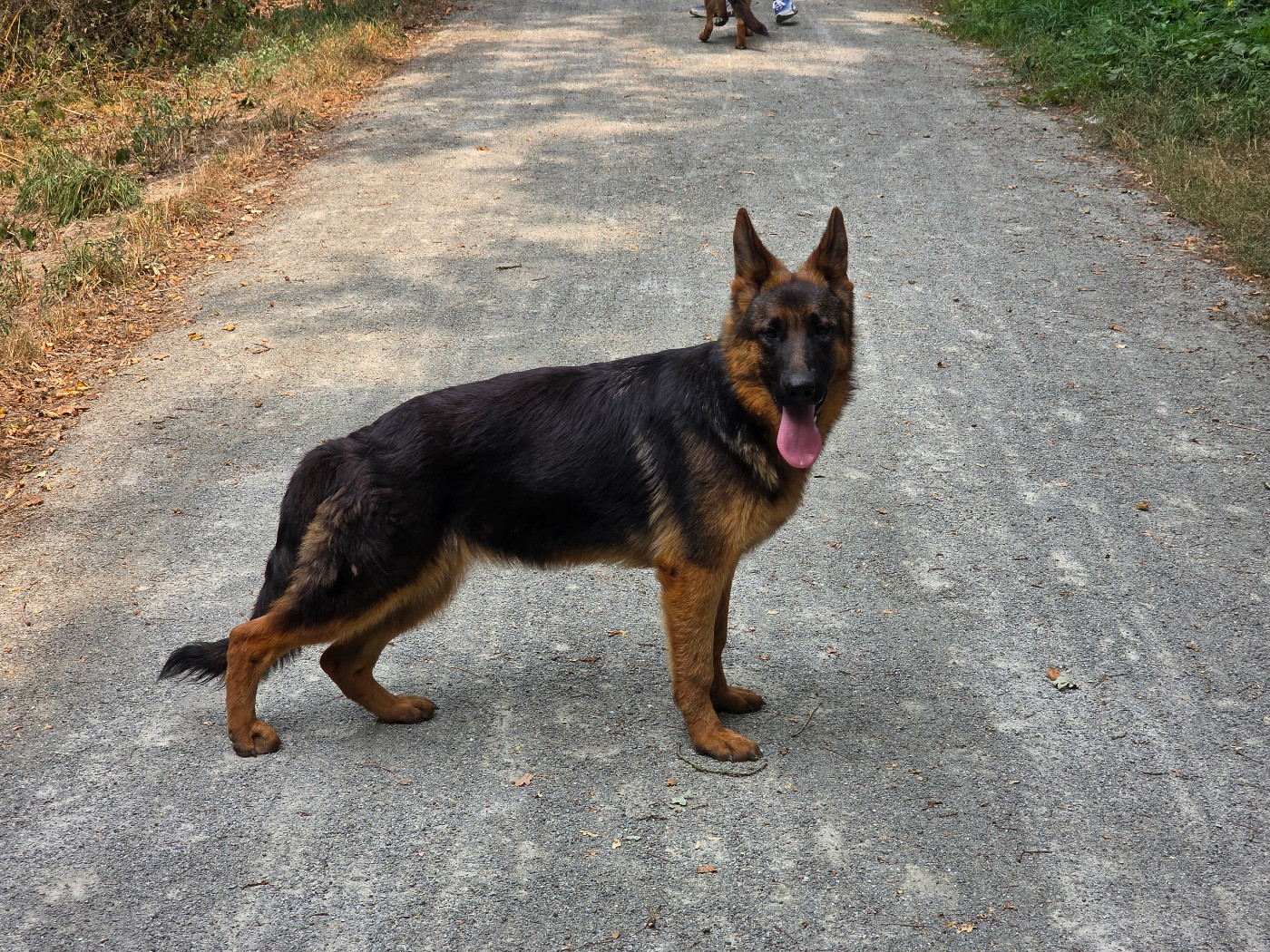 Venus Domaine de Jules